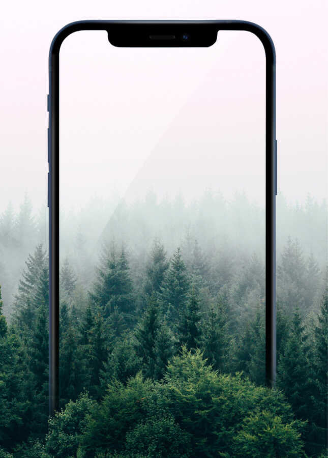 __genel|13|apple-iphone-14-pro-max-wiwu-iprivacy-hd-anti-peep-ekran-koruyucu-14|Apple iPhone 14 Pro Max Wiwu iPrivacy HD Anti-Peep Ekran Koruyucu