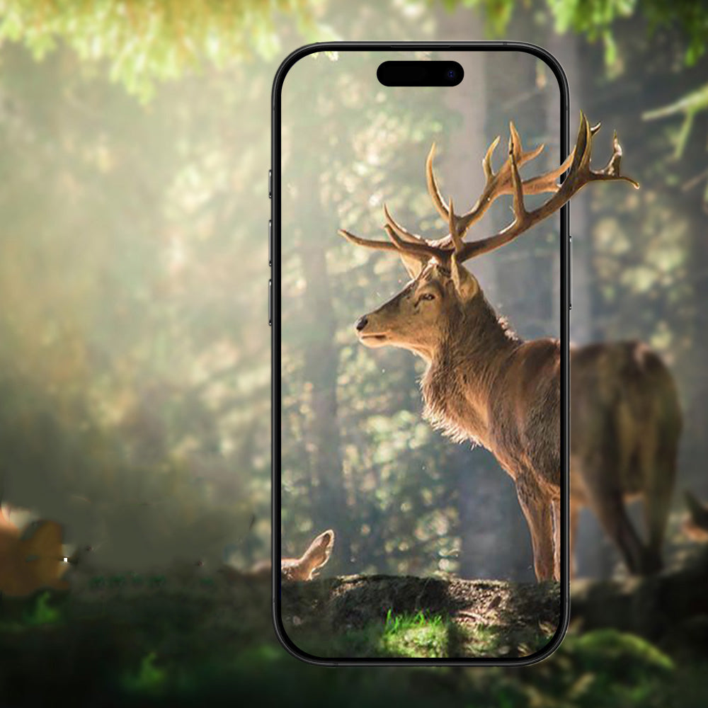 __genel|21|d:\github repo\master-trendyol-shopify-entegrasyon\downloads\5 ağustos 2026 14.21 ürünler\zore\apple iphone 17 pro zore mikro kamera lens koruyucu\genel\apple-iphone-17-pro-zore-mikro-kamera-lens-koruyucu-22|Apple iPhone 17 Pro Gordonix Mikro Kamera Lens Koruyucu